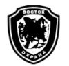 Группа компаний «Востокавтоматика»