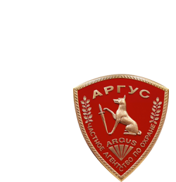 Группа предприятий безопасности «Аргус»